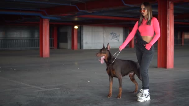 Flickan släppte taget om hunden Doberman — Stockvideo