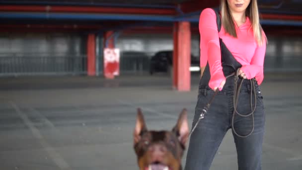抱着狗的女孩用皮带喂多伯曼。 狗对陌生人吠叫 — 图库视频影像