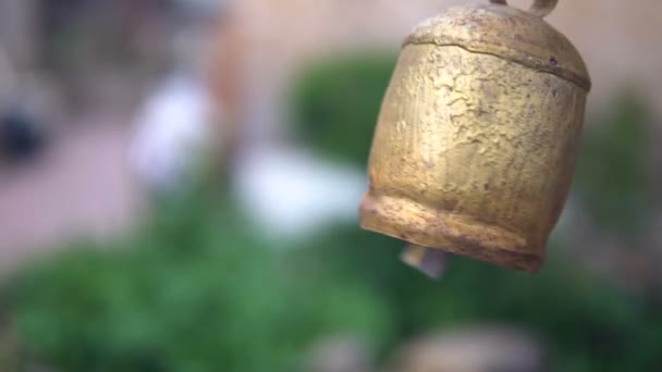 Malý zvonek zvoní detailně — Stock video