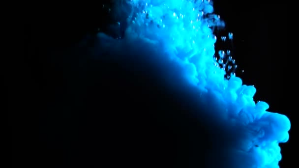 Prawdziwy strzał niebieska farba spada do wody w zwolnionym tempie inwersji. Tusz wirujący pod wodą. Chmura kolizji tuszu wyizolowana na czarnym tle z alfa. Widok z bliska — Wideo stockowe