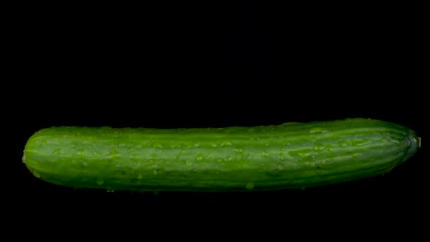 El agua es rociada sobre un pepino. Sobre un fondo negro aislado — Vídeo de stock