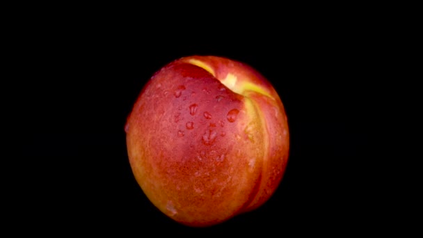 桃子上喷水. 在一个黑色孤立的背景上 — 图库视频影像