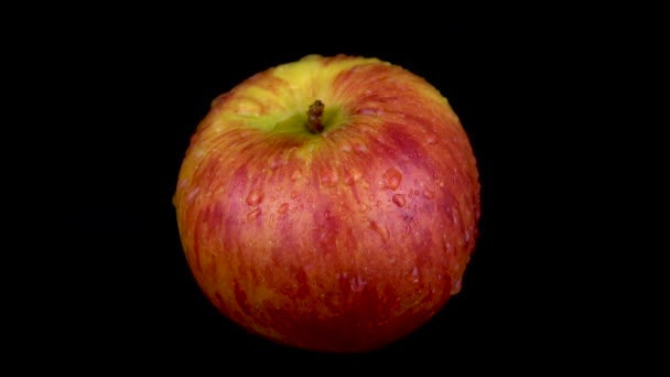 L'eau est pulvérisée sur une pomme rouge. Sur un fond noir isolé — Video