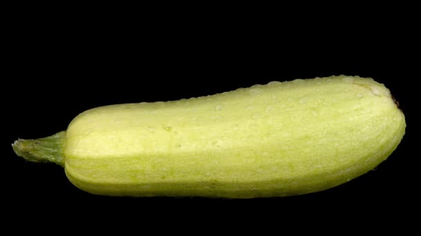 Wasser wird auf eine Zucchini gesprüht. auf schwarzem, isolierten Hintergrund — Stockvideo
