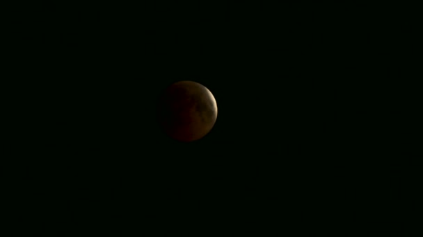 Desfasamento temporal do Eclipse Lunar — Vídeo de Stock