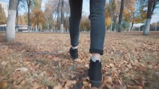 Ragazza va su foglie di autunno — Video Stock