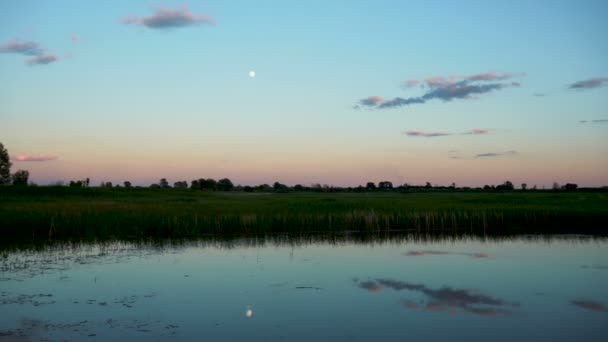 Panorama del lago al tramonto. Il lago riflette il cielo — Video Stock