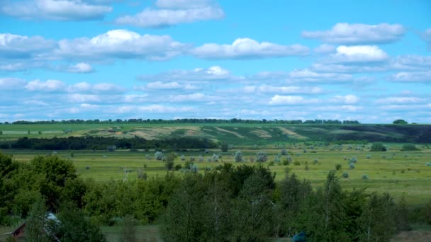 Vista de campos verdes y cielo azul con nubes — Vídeo de stock