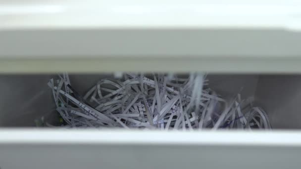 Gesneden papier valt in de container. Shredder vernietigt papier close-up. Shredder snijdt papier in strepen. Zicht op de container — Stockvideo