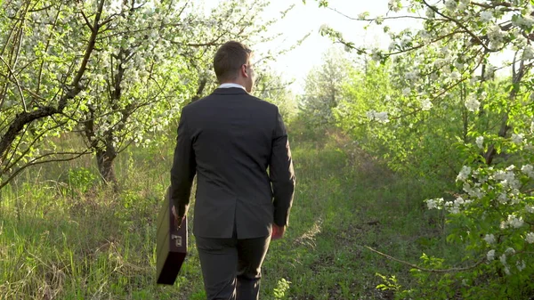 A businessman walks through the apple orchard and looks around. A man in a suit looks at his possessions. A man in nature.