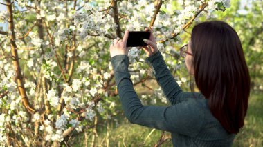Genç bir kadın çiçek açan bir elma ağacını fotoğraflıyor. Çiçek açan bahçede bir kız.