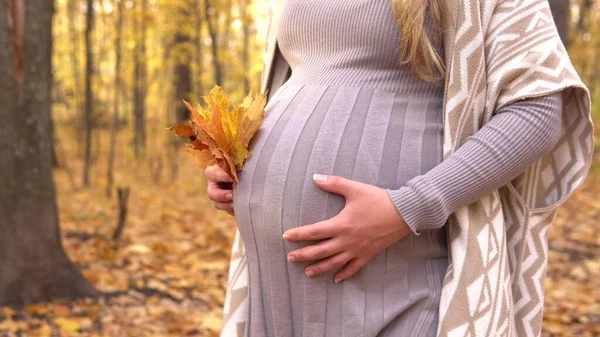 A pregnant woman walks through the autumn forest. Yellow leaves around — Stock Photo, Image