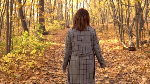 Une jeune femme en lunettes et un manteau se promène dans la forêt d'automne. Feuilles jaunes autour — Photo