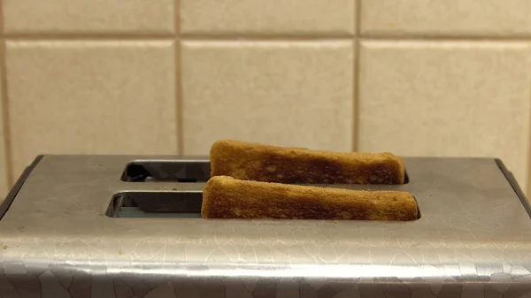 Finished toasts fried in a toaster — Stock Photo, Image