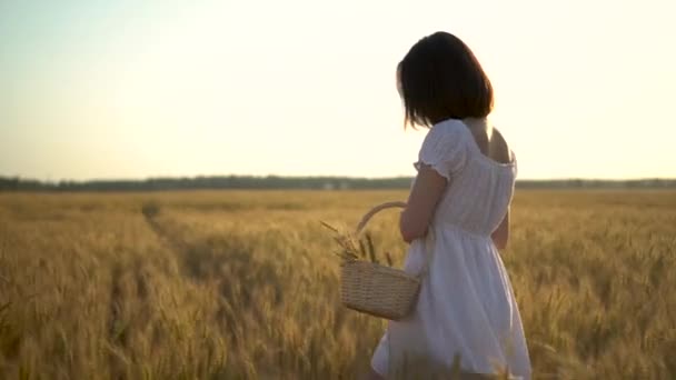 A young woman is walking on a yellow wheat field with a basket in her hands. Straw basket with spikelets of wheat. Side view. — Stock Video