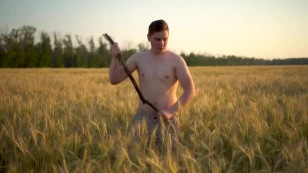 シャツのない若い男が小麦の鎌を刈る。夕暮れ時に畑の男が. — ストック動画