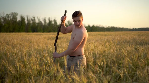 Молодой человек без рубашки косит косу пшеницы. Человек в поле на закате . — стоковое фото