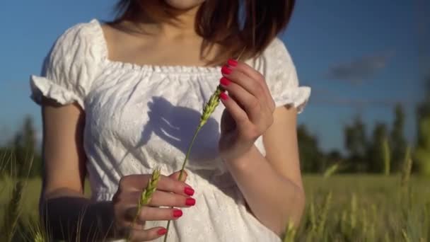 Young woman touches the spikelet in her hands closeup. A girl in a white dress stands in a green wheat field. — Stock Video