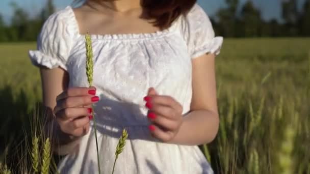 Jovem mulher toca a espigueta em suas mãos de perto. Uma menina de vestido branco fica em um campo de trigo verde . — Vídeo de Stock