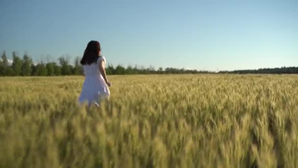 Młoda kobieta w białej sukience biegnie wzdłuż zielonego pola pszenicy. Dziewczyna biegnie i podnosi ręce do góry. Widok z tyłu. — Wideo stockowe