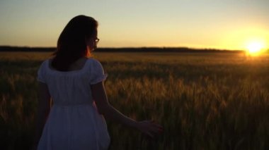 Beyaz elbiseli genç bir kadın gün batımında buğday tarlasında yürüyor. Kız gün batımına doğru gidiyor. Arka plan.