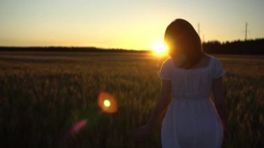Beyaz elbiseli genç bir kadın gün batımında buğday tarlasında yürüyor. Kız gün batımına doğru gidiyor. Arka plan.