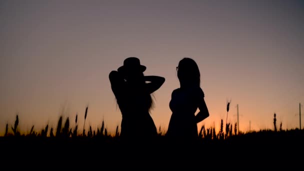 Dos mujeres jóvenes en un puesto de vestir en un campo de trigo sobre un fondo al atardecer. Silueta negra de chicas al atardecer — Vídeo de stock