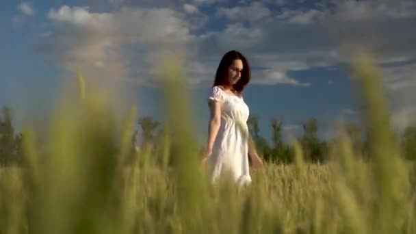 Una joven vestida de blanco camina sobre un campo de trigo verde. Vista de la chica a través de las espiguillas . — Vídeos de Stock