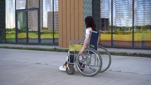 Uma jovem numa cadeira de rodas. Uma menina monta em uma cadeira de rodas contra o fundo de um edifício de vidro. Transporte especial para deficientes . — Fotografia de Stock