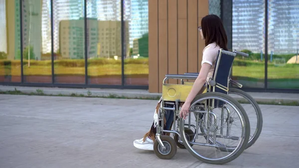 Uma jovem numa cadeira de rodas. Uma menina monta em uma cadeira de rodas contra o fundo de um edifício de vidro. Transporte especial para deficientes . — Fotografia de Stock