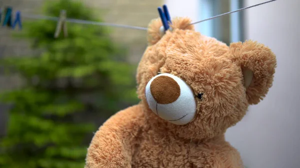 Un oso de peluche se seca en una cuerda. El oso está al aire libre. Pinza de ropa en la oreja . — Foto de Stock