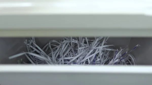 Cut paper falls into the container. Shredder destroys paper close-up. Shredder cuts paper into stripes. View of the container