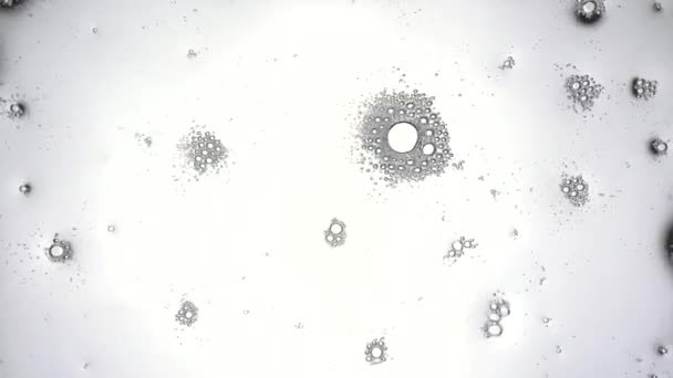 Tvättmedlet sprutas på glaset och torkas av med en trasa. Bubblorna är grupperade tillsammans. Rengöringsglas från smuts och damm. Makrobottenvy. — Stockvideo