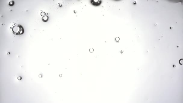 El detergente se rocía sobre el vidrio y se limpia con un paño. Las burbujas se agrupan. Vidrio de limpieza de la suciedad y el polvo. Macro vista inferior. — Vídeo de stock