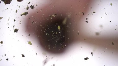 Siyah biber, parlak beyaz arka planda camın üstüne düşer. Biberin Macro manzarası. Yavaş çekim 100 fps