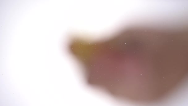 Ο Βερμικέλι πέφτει πάνω στο γυαλί σε ένα φωτεινό λευκό φόντο. Μακρο άποψη των noodles από κάτω. Αργή κίνηση 100 fps — Αρχείο Βίντεο