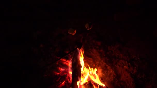Un groupe d'amis frites guimauves sur un bâton sur un feu gros plan. Feu de camp la nuit. — Video
