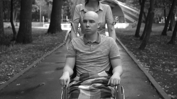 Una mujer está conduciendo a un hombre joven con oncología en silla de ruedas a través del parque. El hombre es calvo debido a la quimioterapia. Color monocromo. —  Fotos de Stock