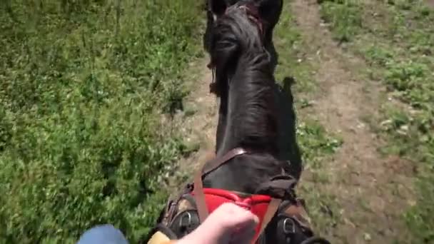 Un uomo cavalca un cavallo vista dall'alto. Un cavallo va in fattoria. — Video Stock