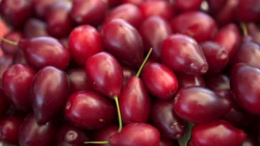 Piyasada bir sürü köpek odunu var. Kamera hareket ediyor. Yavaş çekim.