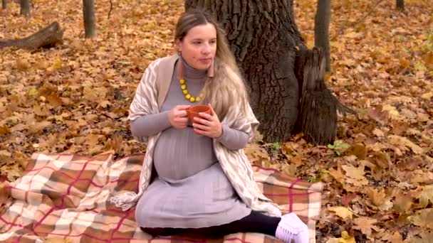 Une femme enceinte est assise sous un arbre dans une forêt d'automne sur un plaid et boit du thé chaud. Feuilles jaunes autour — Video