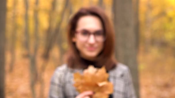 Молодая женщина в очках прячется за большим деревом листьев в осеннем лесу. Девушка протягивает листья к камере. — стоковое видео