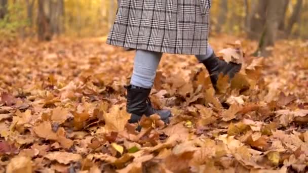 Жінка ходить уздовж жовтого опалого листя в осінньому лісі. Ноги крупним планом. Повільний рух — стокове відео