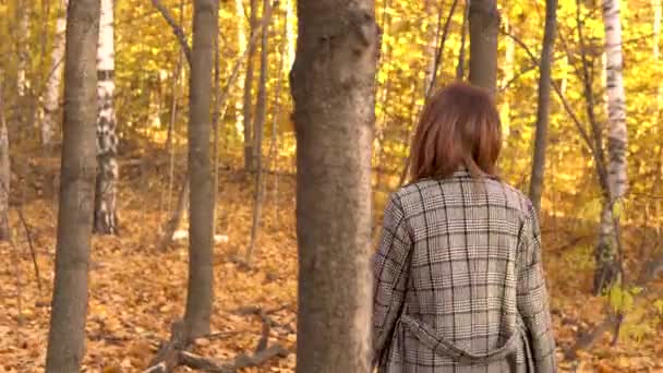 Una joven con gafas y un abrigo pasea por el bosque de otoño. Hojas amarillas alrededor — Vídeos de Stock