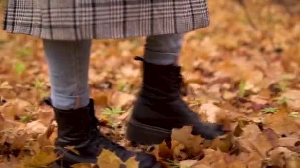 Una mujer camina por las hojas amarillas caídas en el bosque de otoño. Las piernas cierran. Movimiento lento — Vídeo de stock