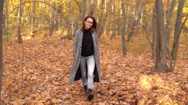 Молода жінка в окулярах і пальто гуляє в осінньому лісі. Жовте листя навколо. Повільний рух — стокове відео
