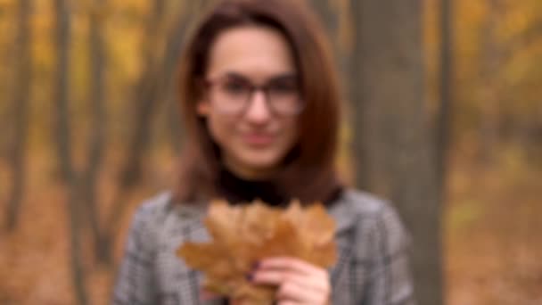 Молодая женщина в очках прячется за большим деревом листьев в осеннем лесу. Девушка протягивает листья на камеру. Медленное движение — стоковое видео