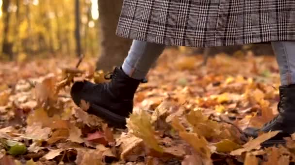 Una mujer camina por las hojas amarillas caídas en el bosque de otoño. Las piernas cierran. Movimiento lento — Vídeos de Stock