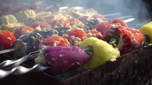 Овощи на шампуре поджариваются на гриле крупным планом. Вегетарианские барбекю. — стоковое видео
