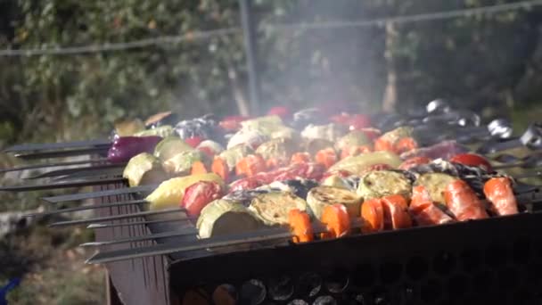 Groenten op spiesjes worden gebakken op de grill. Vegetarische barbecues. — Stockvideo